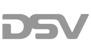 DSV